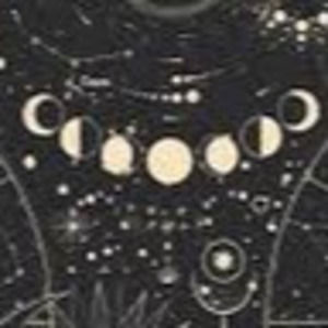 Meet your Posher, Dixie